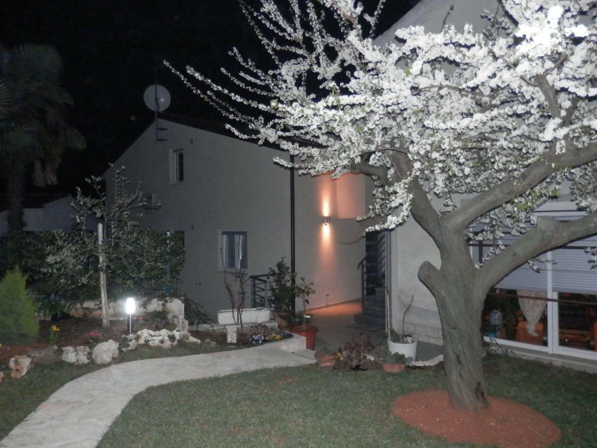 Luna Apartment بوريتش المظهر الخارجي الصورة